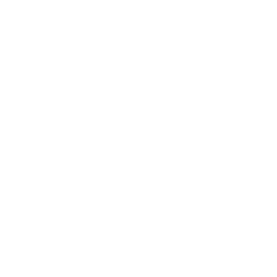 الدعم الفني